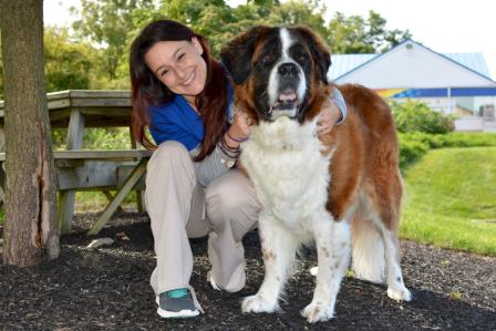 Bandit - Saint Bernard Rescue Foundation, Inc.