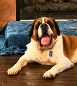 Roscoe 8/20/2025