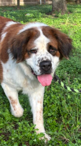 Bailey Texas. 8/30/2025