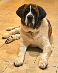 Sully 9/6/2025