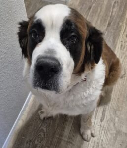 Gracie – 4/5/26