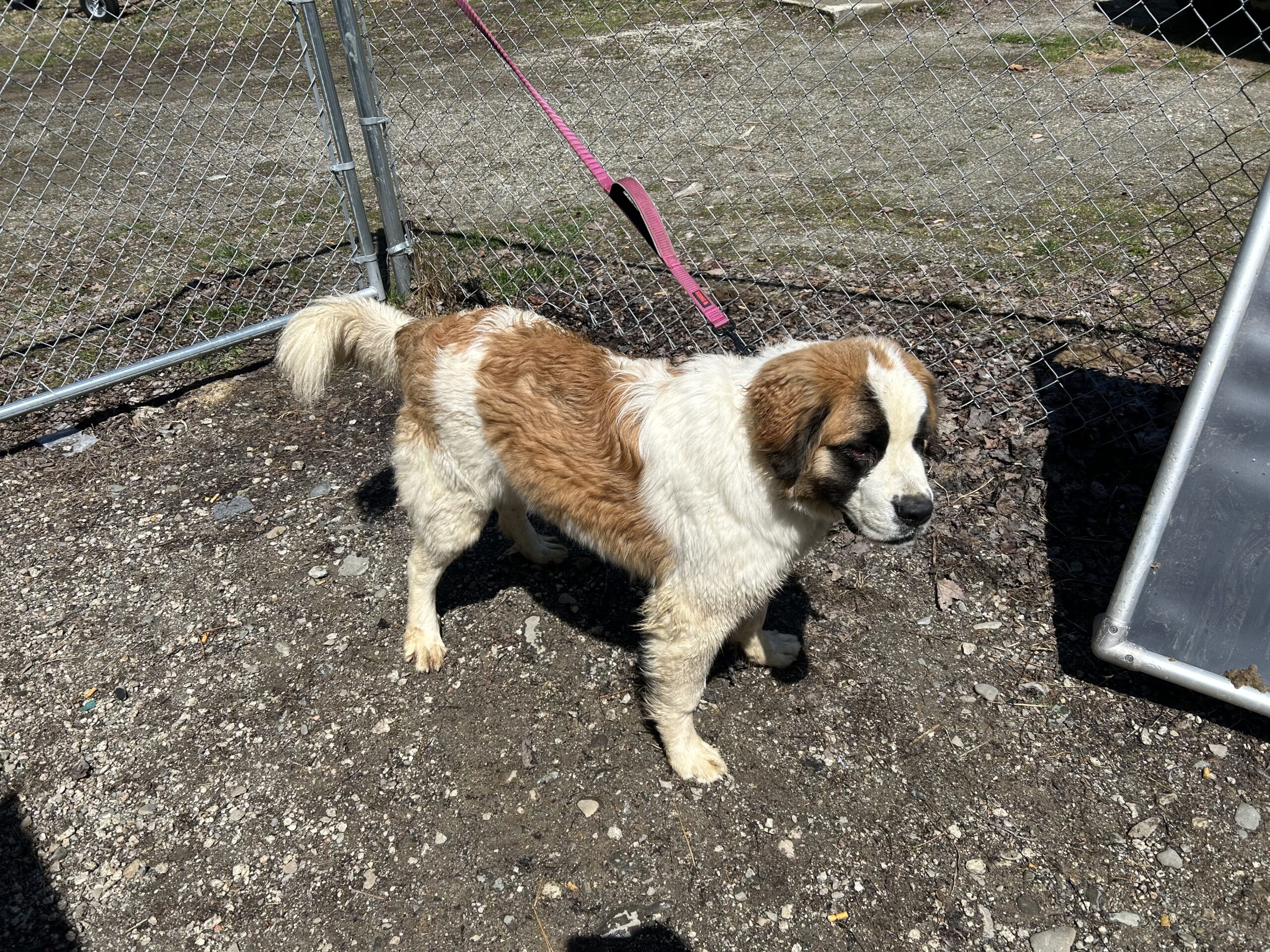 Heidi  4/23/26