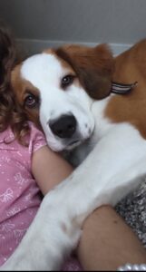 Tilly 4/4/26. ADOPTED 4/17/26