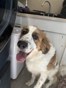 Duke 4/3/26