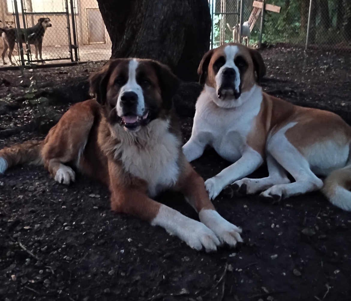 Otis and Bourbon 5/30/26